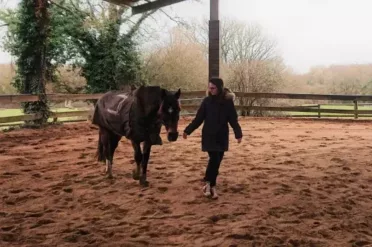 equicoaching