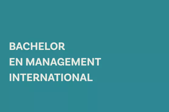 Bachelor en management international picture