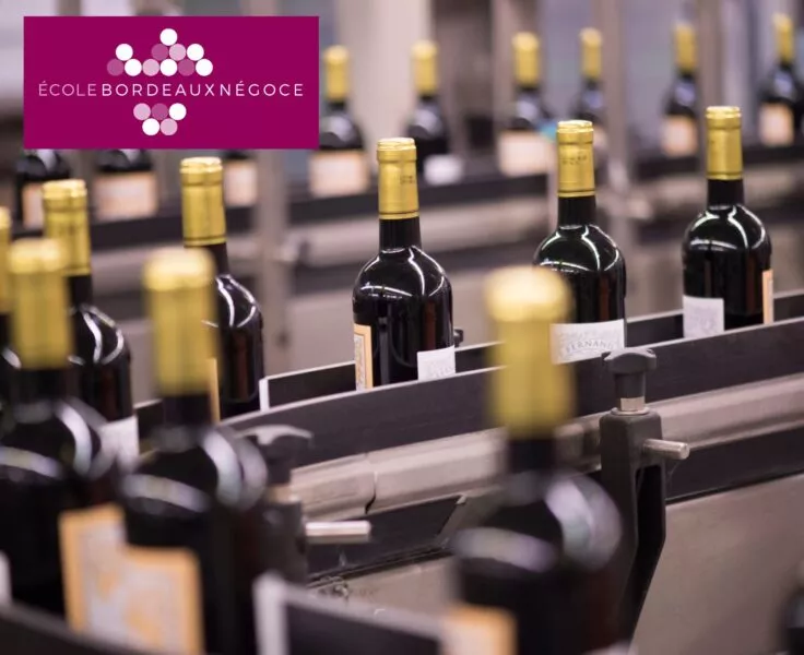 Visuel Ecole Bordeaux Négoce