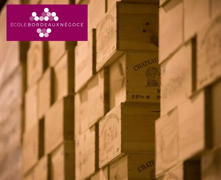 Visuel Ecole Bordeaux Negoce