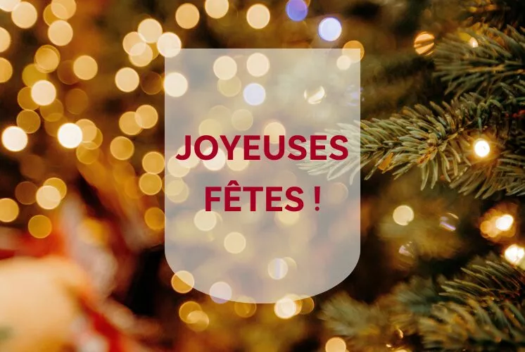 photo avec un sapin et des lumières en arrière plan. Au 1er plan un message dans un blason annonçant Joyeuses fêtes
