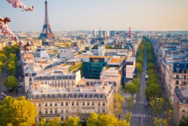 Vue sur la Tour Eiffel depuis des avenues arborées