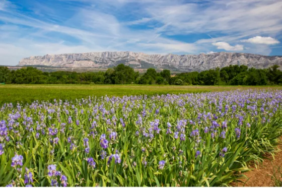 Montagne Sainte-Victoire